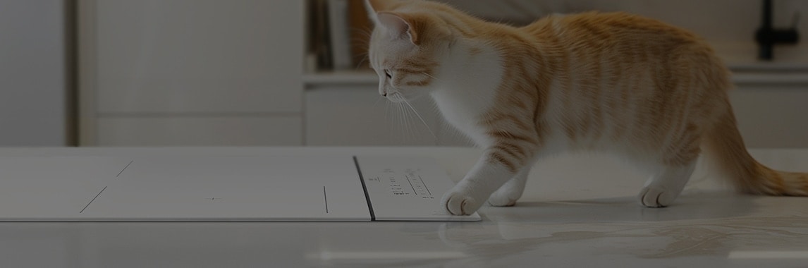 주방으로 보이는 공간에 하얀색과 갈색 줄무늬가 있는 고양이가 있습니다. 고양이는 하얀색 조리대 위에 서 있으며, 앞발로 전자기기처럼 보이는 물체를 만지고 있습니다. 배경은 깔끔하고 현대적인 인테리어로 되어 있습니다.